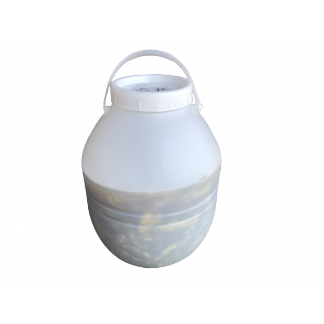 茶瓜 :13公斤
